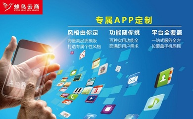 福建手机app开发企业app开发定制外包公司