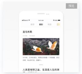 app工厂丰富的模板免费供你选择 提供专业定制化解决方案