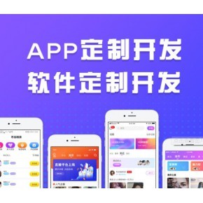 国外应用app定制软件开发